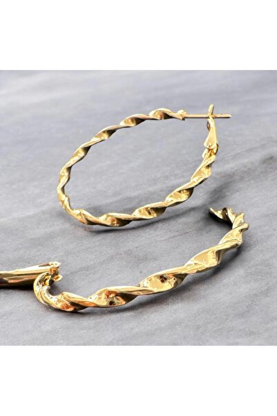 Aleda Steel Gold Medium Size Twisted Hoop Earrings