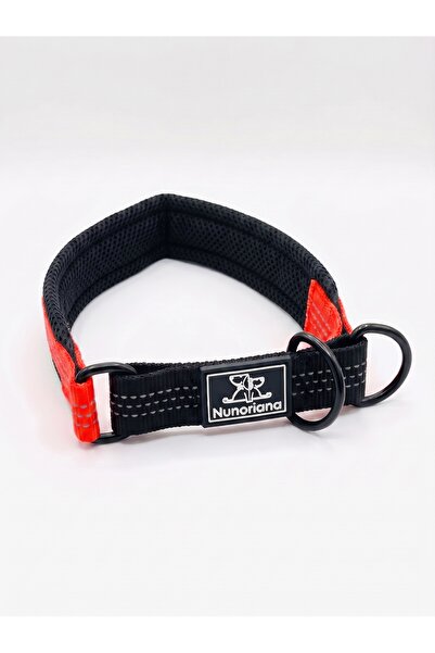Tasma Market Martingale Semi-Strangle Dog Training Collar - Reflective Soft T...