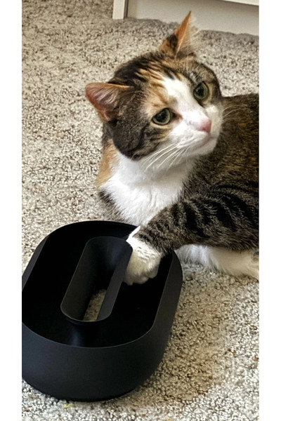 zengolab3d Cat Toy Oval Interactive Cat Play Accessory Pet Toy