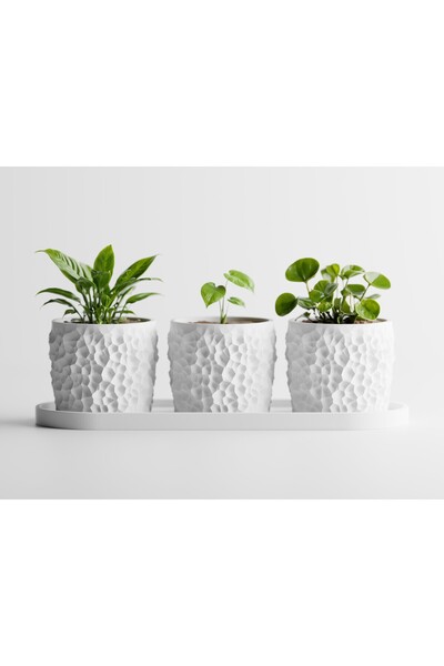 LayerCrew Set 3 ghivece cu tavă Piccola 11 cm 24.2 cm 24.2 cm Jade White