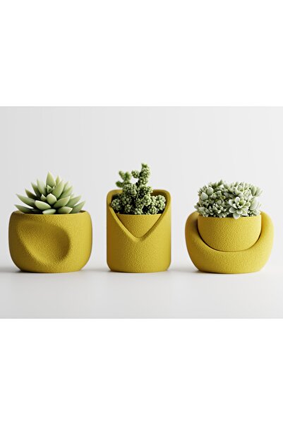 LayerCrew Set 3 ghivece Sinu 6.3 cm 8.9 cm 9.1 cm Yellow