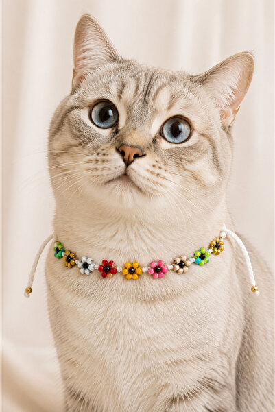 NEHOLİA Handmade Colorful Flower Beaded Cat Neck Accessory White Lace Decorat...