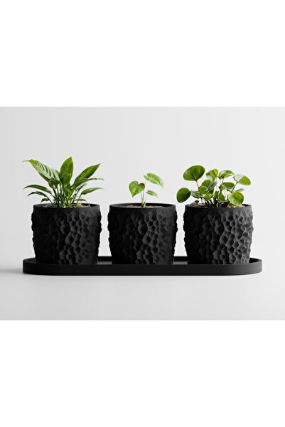 LayerCrew Set 3 ghivece cu tavă Piccola 7 cm 7.8 cm 22.1 cm Charcoal