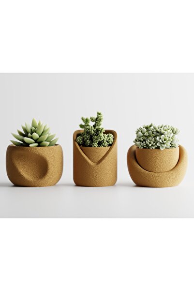 LayerCrew Set 3 ghivece Sinu 6.3 cm 8.9 cm 9.1 cm Gold