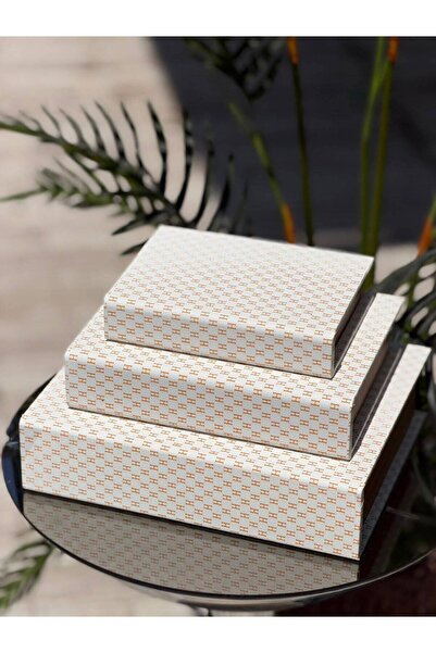 Hinora 3-Piece Decorative Leather Book Box Set – Book-Looking Storage Box, Li...