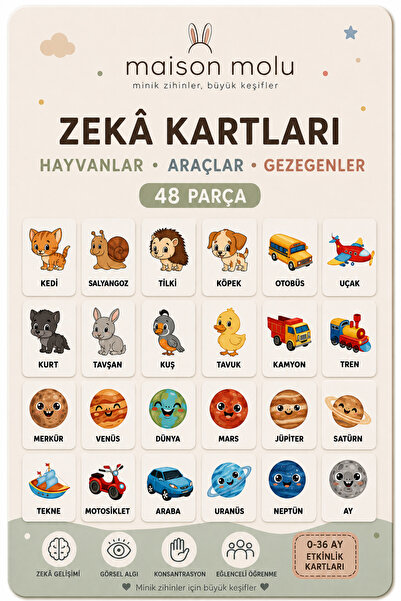 MAİSON MOLU – Minik Kaşifler I Eşleştirme Kartları I Oyun Kartları