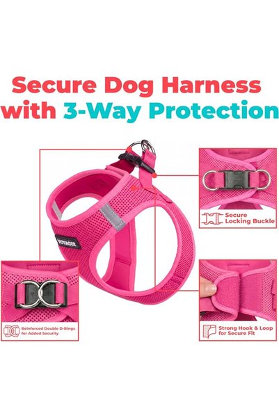 Best Pet Supplies سرج للكلاب فوياجر ستيب ان اير، تصميم شبكي مناسب لجميع الأحوال الجوية للكلاب الصغيرة والمتوسطة من بيس