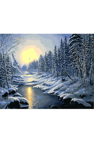 Little artist Paint by Numbers – The Frozen Realm: Flight of the Owl and Wint...
