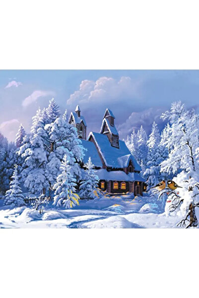 Little artist Paint by Numbers – The Winter Story House – Canvas on Wooden Fr...