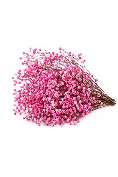 Pembe cipso çiçek