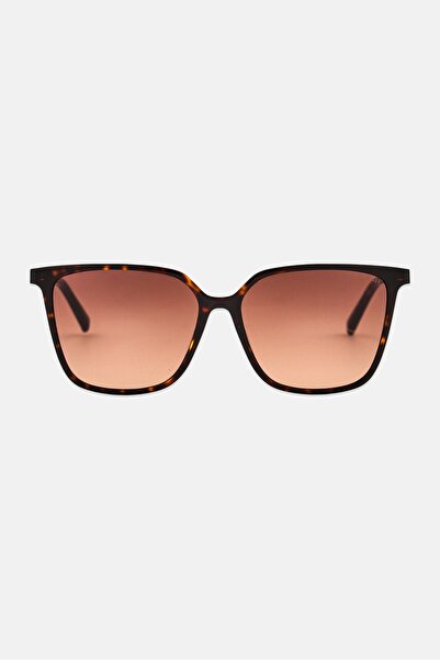 Tommy Hilfiger Women TH 2292/S Cat Eye Sunglasses, Brown
