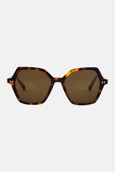 Tommy Hilfiger Women TH 2213 Square Sunglasses, Havana