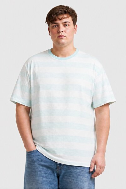 Brave Soul Men Regular Fit Stripe Short Sleeve T-Shirt, Multicolor