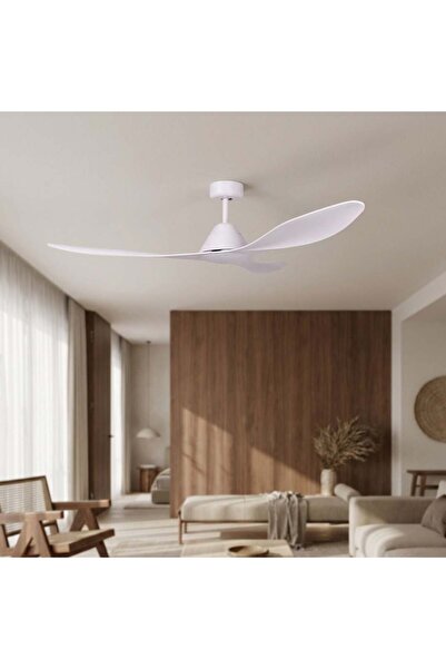 Milano Kabir Majlis Bldc Ceiling Fan W Remote - 15, White, 52 inches, ABS, Co...