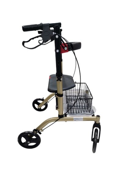 Generic Developed Gold Shopping Walker