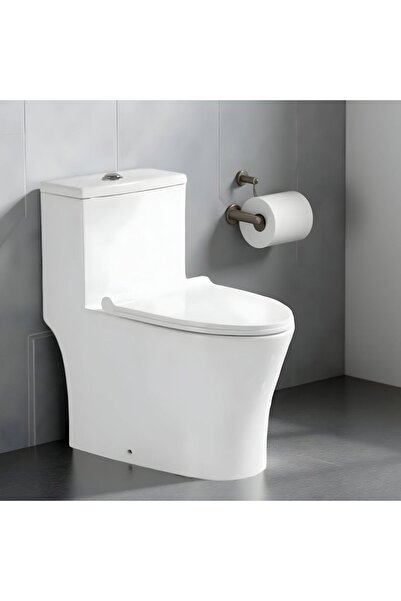 Milano Luxe Rimless WC - With Seat Cover - S Trap -250 Mm - White - 685x400x7...