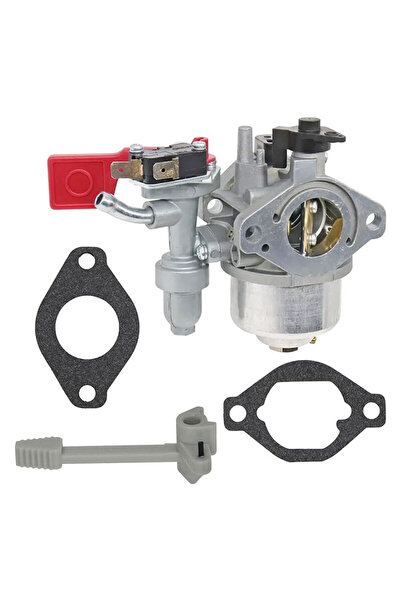 Morvena Picks Carburator pentru BRIGGS & STRATTON 799060 84004885 10CP