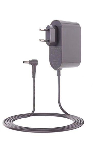 Morvena Picks Compatibil cu următoarele încărcătoare pentru aspiratoare Dyson...