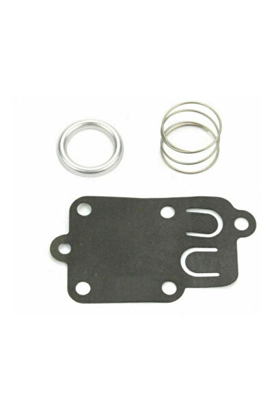 Morvena Picks Kit de reparare a carburatorului compatibil cu Briggs & Stratto...
