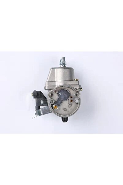 Morvena Picks Carburator PZ13A - Carburator pentru gradinarit - masina de tun...