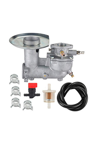 Morvena Picks Ansamblu carburator 392587 - Briggs & Stratton 391065 391074 39...