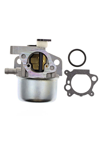 Morvena Picks Carburator compatibil cu carburatorul BriggsStratton 799866 790...