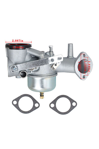 Morvena Picks Carburator pentru 491026 Briggs & Stratton 491031 490499 281707...