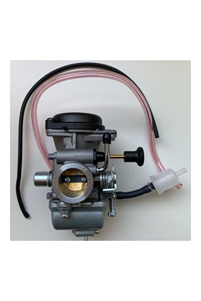 Morvena Picks Compatibil cu carburator pentru motocicleta GS125 EN125 HJ125K ...