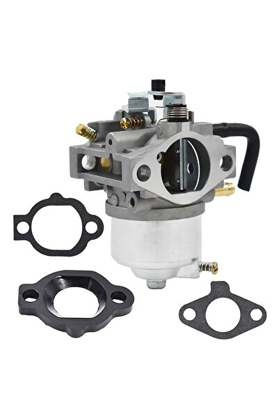 Morvena Picks 492256 Carburator pentru Briggs & Stratton 260000 261000