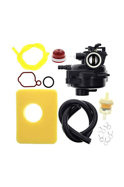 Morvena Picks Briggs & Stratton 799583 - 09P602 Ansamblu carburator - Cu filt...