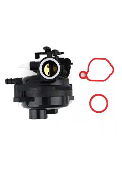 Morvena Picks Carburator de grădinărit - Compatibil cu Briggs&Stratton 799583...
