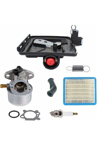 Morvena Picks 799868 carburator - 795259 bază primară pentru curățarea filtru...