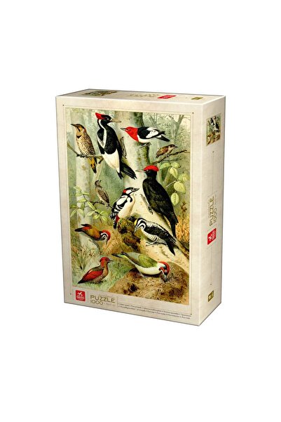 Deico Enciclopedie Puzzle – Păsări – Puzzle pentru adulți cu 1000 de piese