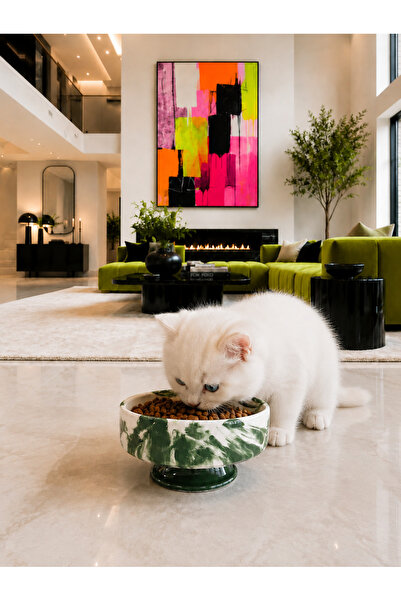 daiza home Mama Kabı Kedi ve Köpek 1 Adet Doğal Mama veya Su Kabı
