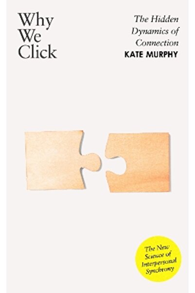 Viking Why We Click: The Hidden Dynamics of Connection: 'The New Science of I...