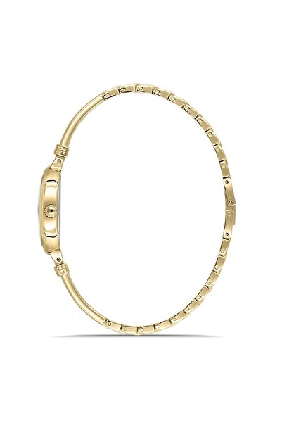 Momentus Women's Shiny Sw294G-02Sg