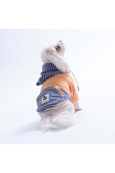 Pawstar Salmon Sera Stripe Dog Hoodie Dog Sweatshirt Dog Outfit Cat Outfit
