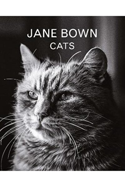 Guardian Faber Publishing Τζέιν Μπάουν: Γάτες