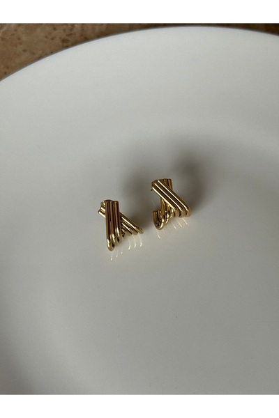 Ephyra Steel Gold Color Earrings