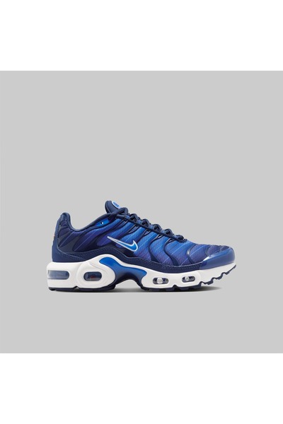Nike Air Max Plus SE (GS) 40