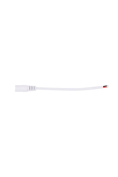 Danex Quick Connection Plug for LED Strip 12V Mono Female, DANEX, Multicolor