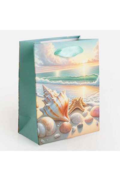 OEM Sacosa Cadou cu Model Scoica 11x6x14cm