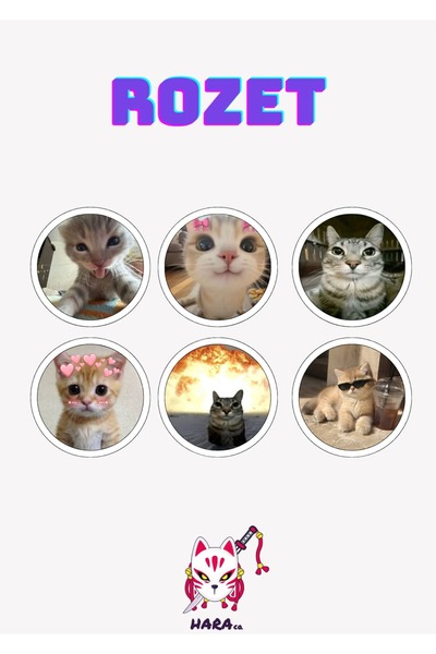Hara Company Kedi Rozet Seti 6'lı