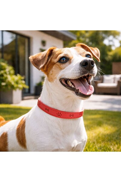 OEM Red Dog Collar 45x1.5cm