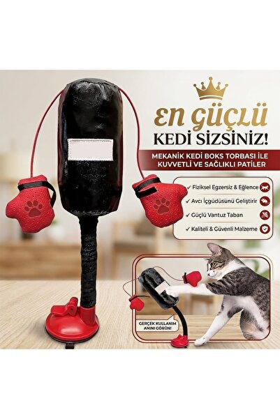 Genel Markalar Kedi boks torbası