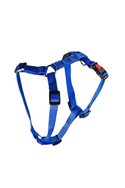 OEM Curea elastică din nailon, reglabilă în 3 poziții, albastră, Click, 20mm*...