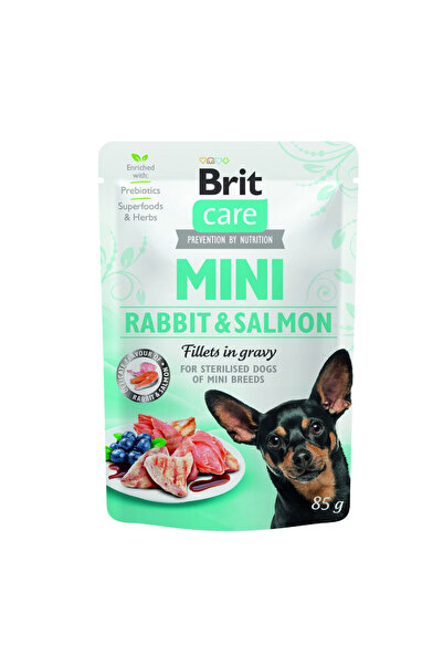 Brit PLIC CAINE CARE MINI IEPURE SI SOMON FILE IN SOS 85 G