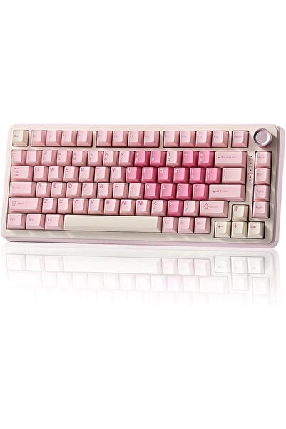 OEMS Wireless Mechanical Keyboard Pink