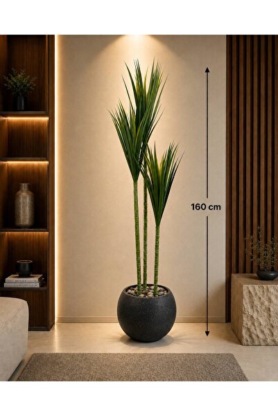 CENTRHOME Arica Tree 160cm High with Mecan Mecor Spray