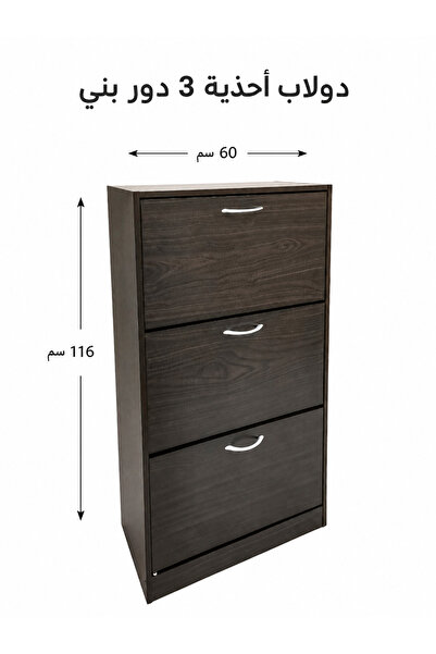 Binshihon Home 3-Tier Brown Shoe Cabinet with Sleek Modern Design, Organized ...